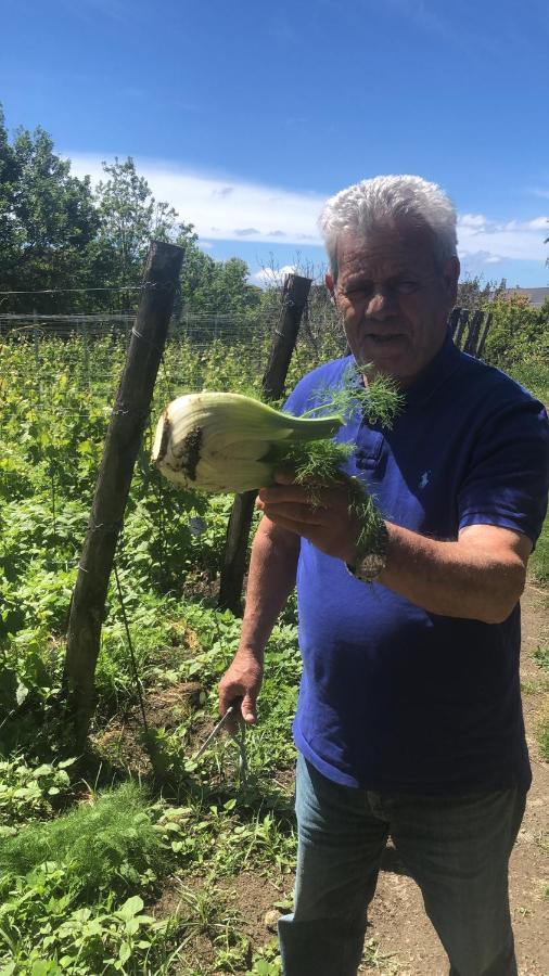 克里斯蒂娜别墅公寓 Forio di Ischia 外观 照片