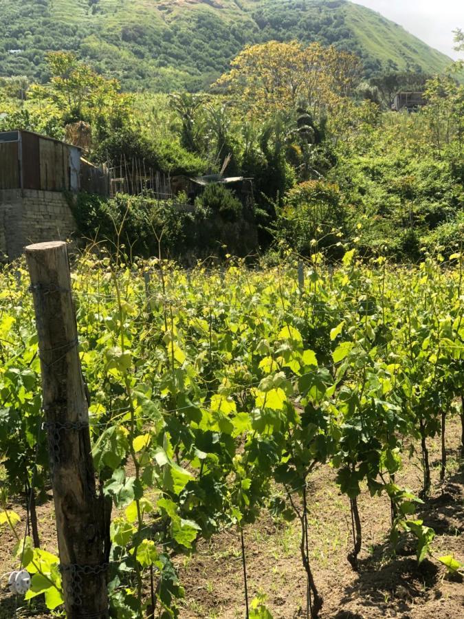 克里斯蒂娜别墅公寓 Forio di Ischia 外观 照片