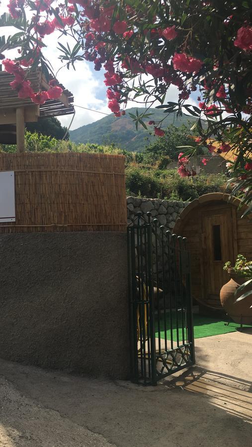 克里斯蒂娜别墅公寓 Forio di Ischia 外观 照片